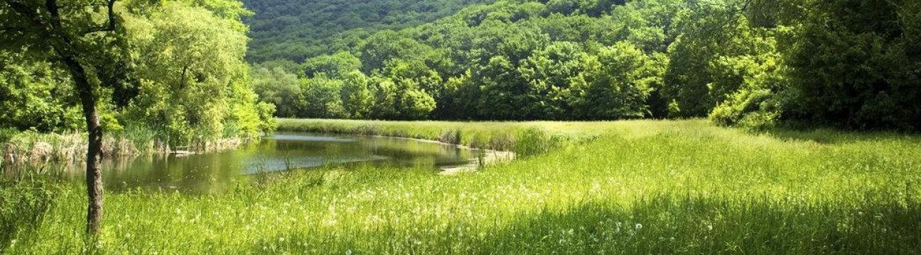 Ratih Zulhaqqi & Associated